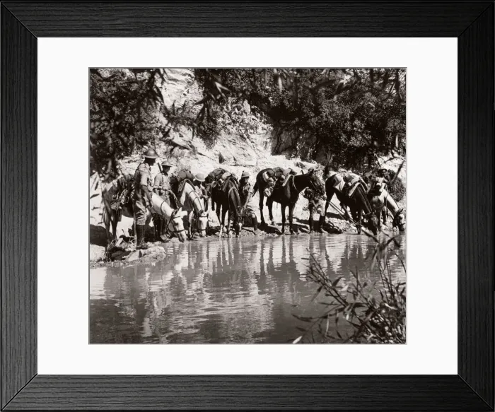 Framed Print : 1943 Syria Trans-Jordanian Frontier Force TJFF regiment Framed Print : 1943 Syria Trans-Jordanian Frontier Force TJFF regiment