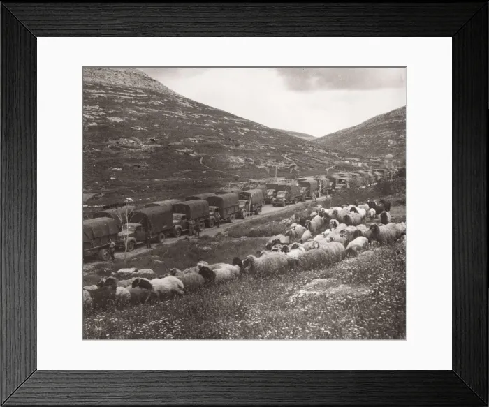 Framed Print : 1943 - supply convoy close to Syria, Turkey border Framed Print : 1943 - supply convoy close to Syria, Turkey border