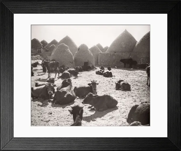Framed Print : 1943 Syria village with traditional mud beehive houses Framed Print : 1943 Syria village with traditional mud beehive houses