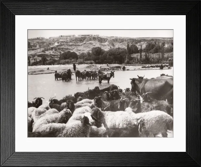 Framed Print : 1943 Syria - Hama on the river Orontes Framed Print : 1943 Syria - Hama on the river Orontes