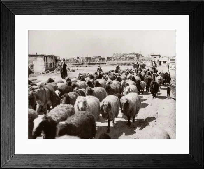 Framed Print : 1943 Middle East Syria - scene at Aleppo Framed Print : 1943 Middle East Syria - scene at Aleppo