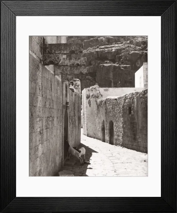 Framed Print : 1843 - Syria - Darkouch or Darkush on River Orontes
