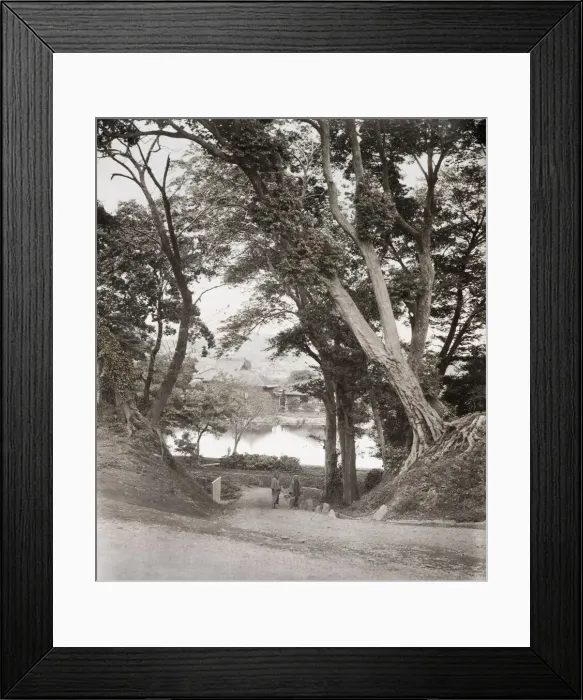 Framed Print : Shinobazu Pond, Ueno Park Tokyo. - Japan