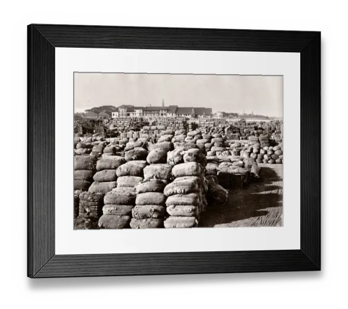 Framed Print : Bales of cotton waiting for export, port, likely India Framed Print : Bales of cotton waiting for export, port, likely India