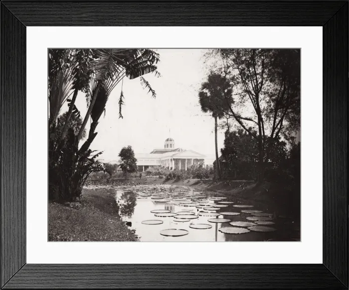 Framed Print : Governors Palace, Buitenzorg, Bogor, Java Framed Print : Governors Palace, Buitenzorg, Bogor, Java