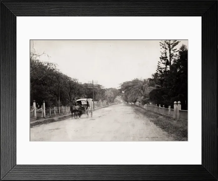 Framed Print : Pony and trap, Nuuan Avenue, Honolulu, Hawaii, Hawai i Framed Print : Pony and trap, Nuuan Avenue, Honolulu, Hawaii, Hawai i