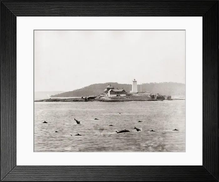 Framed Print : The Derwent Lighthouse, Tasmania, Australia Framed Print : The Derwent Lighthouse, Tasmania, Australia
