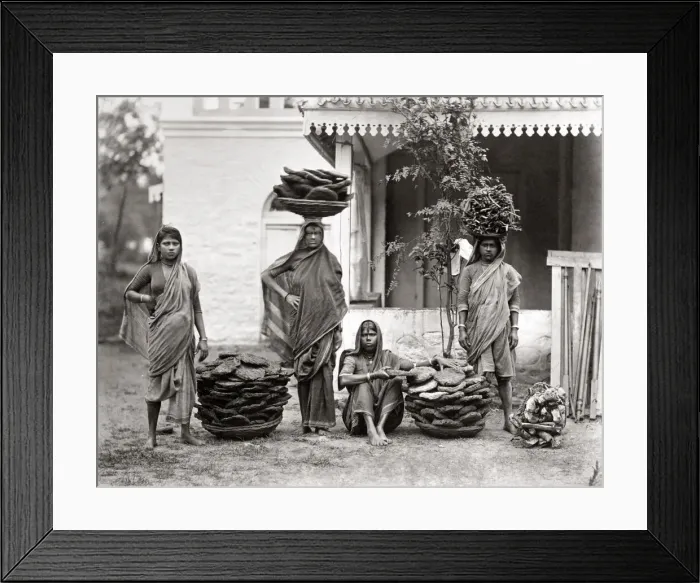 Framed Print : Manure dryers, India, c. 1870 s Framed Print : Manure dryers, India, c. 1870 s
