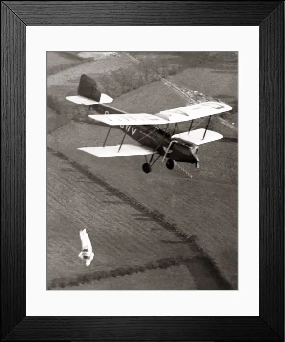 Framed Print : Parachuctisit jumps headfirst from biplane, Hayes, 1933 Framed Print : Parachuctisit jumps headfirst from biplane, Hayes, 1933