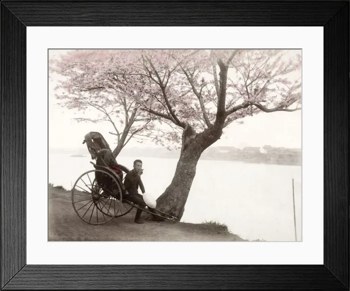Framed Print : c. 1880s Japan - Mukojima Tokyo, rickshaw Framed Print : c. 1880s Japan - Mukojima Tokyo, rickshaw