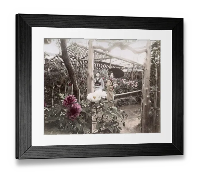 Framed Print : c. 1880s Japan - young women in a flower garden Framed Print : c. 1880s Japan - young women in a flower garden
