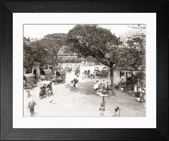 Framed Print : Busy street scene with bullock carts, India, c. 1880 s Framed Print : Busy street scene with bullock carts, India, c. 1880 s