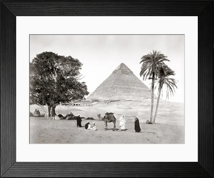 Framed Print : Camel in front of Great Pyramid, Giza, Egypt, c. 1880 s Framed Print : Camel in front of Great Pyramid, Giza, Egypt, c. 1880 s