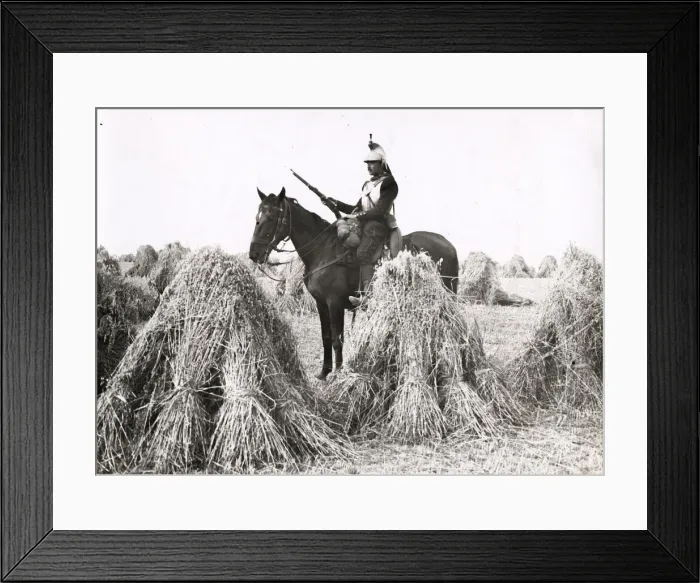 Framed Print : WWI: French cavalry lookout among crops, Belgium Framed Print : WWI: French cavalry lookout among crops, Belgium