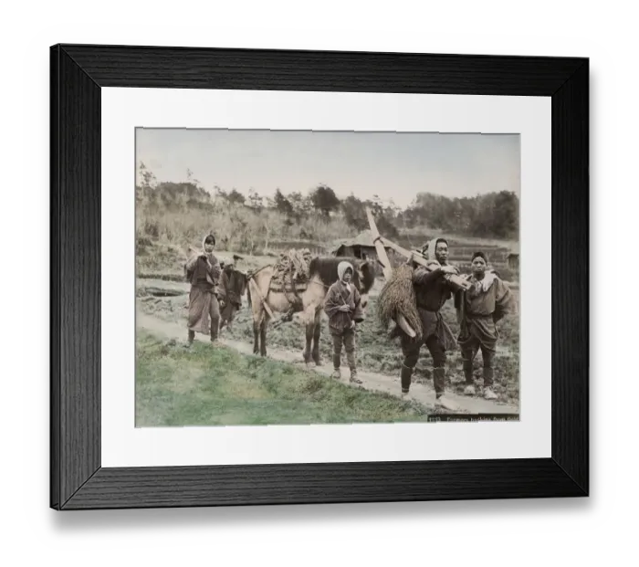 Framed Print : Farmers returning from the fields, Japan Framed Print : Farmers returning from the fields, Japan