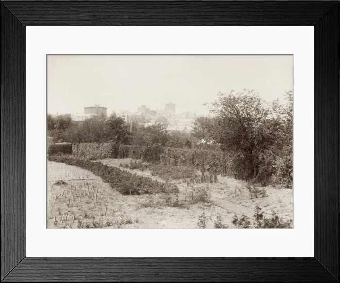 Framed Print : Hexham from the Nurseries Framed Print : Hexham from the Nurseries
