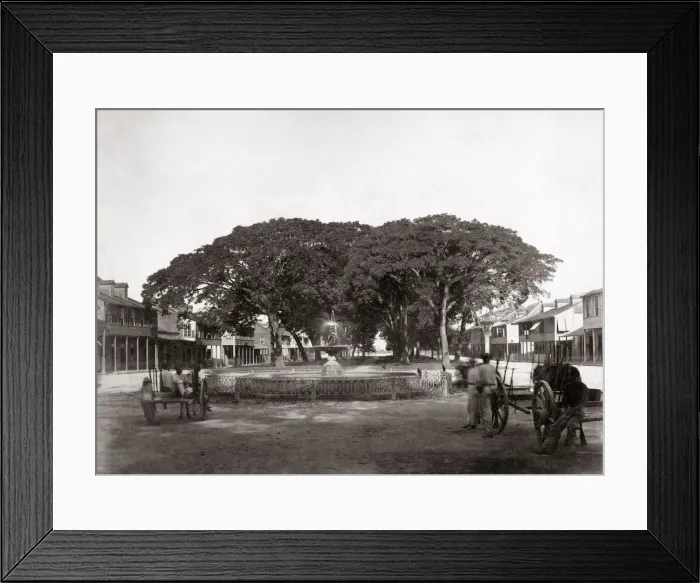 Framed Print : Marine Square, Trinidad, West Indies, c. 1870 s Framed Print : Marine Square, Trinidad, West Indies, c. 1870 s