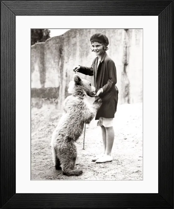Framed Print : 1930s press print - girl at zoo with bear on chain Framed Print : 1930s press print - girl at zoo with bear on chain