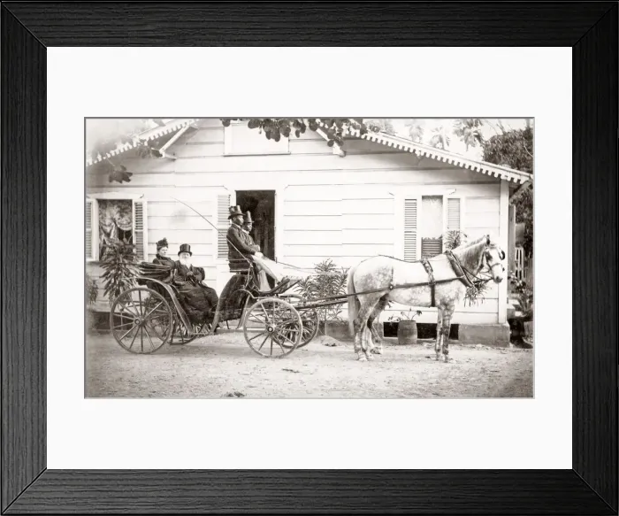 Framed Print : White couple in horse drawn buggy, Jamaica, c. 1890 Framed Print : White couple in horse drawn buggy, Jamaica, c. 1890