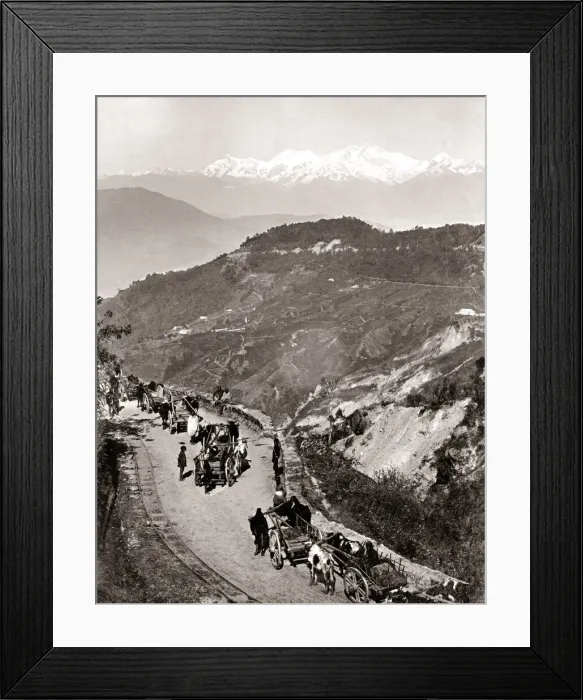 Framed Print : Carts on a mountain road, northern India, c. 1890 Framed Print : Carts on a mountain road, northern India, c. 1890