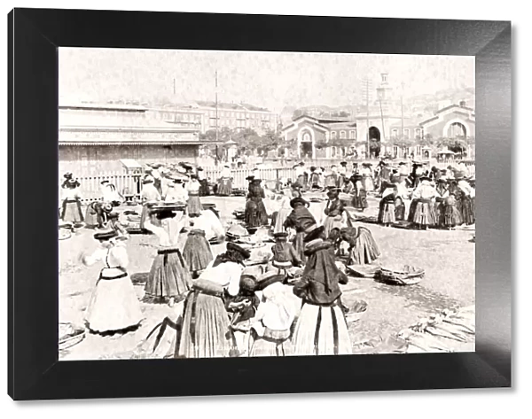 Fish market, Lisbon, Portugal, c. 1890