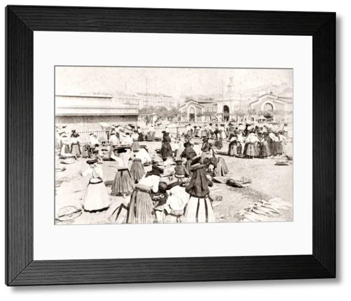 Framed Print : Fish market, Lisbon, Portugal, c. 1890 Framed Print : Fish market, Lisbon, Portugal, c. 1890