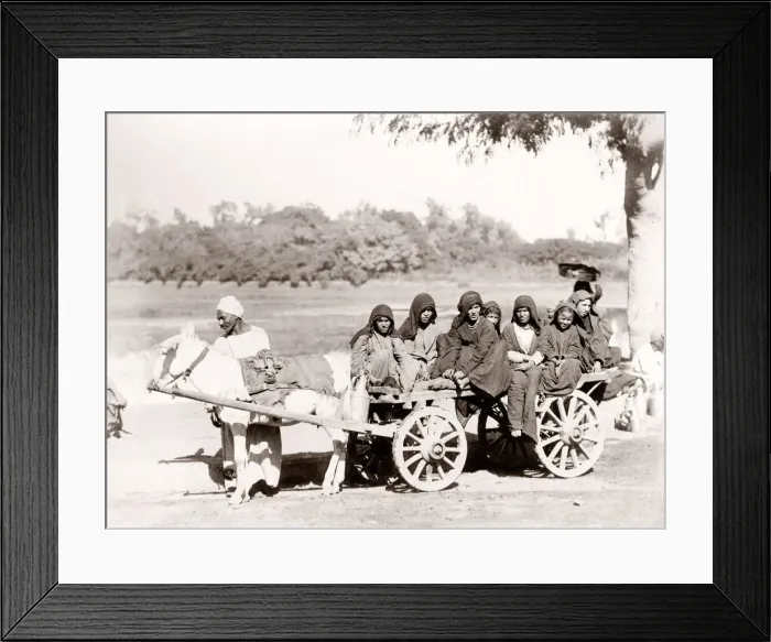 Framed Print : Group of women on a donkey cart, Egypt, c. 1880 s Framed Print : Group of women on a donkey cart, Egypt, c. 1880 s