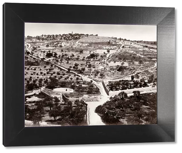 Garden of Gethsemane, Mount of Olives, Jersualem