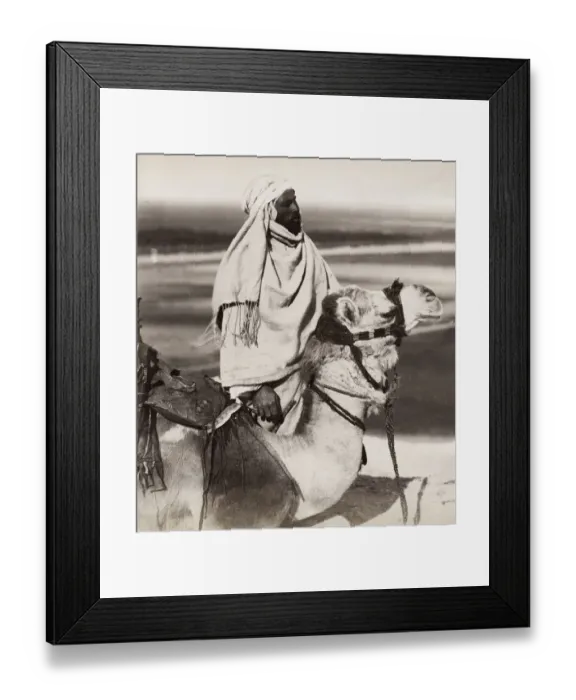 Framed Print : Egyptian man and his camel, Egypt Framed Print : Egyptian man and his camel, Egypt
