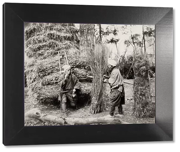 Coppicing, forestry workers, Japan