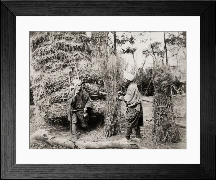 Framed Print : Coppicing, forestry workers, Japan Framed Print : Coppicing, forestry workers, Japan