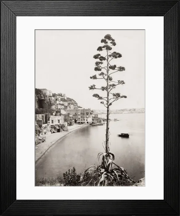 Framed Print : Posilippo, Bay of Naples, Italy Framed Print : Posilippo, Bay of Naples, Italy