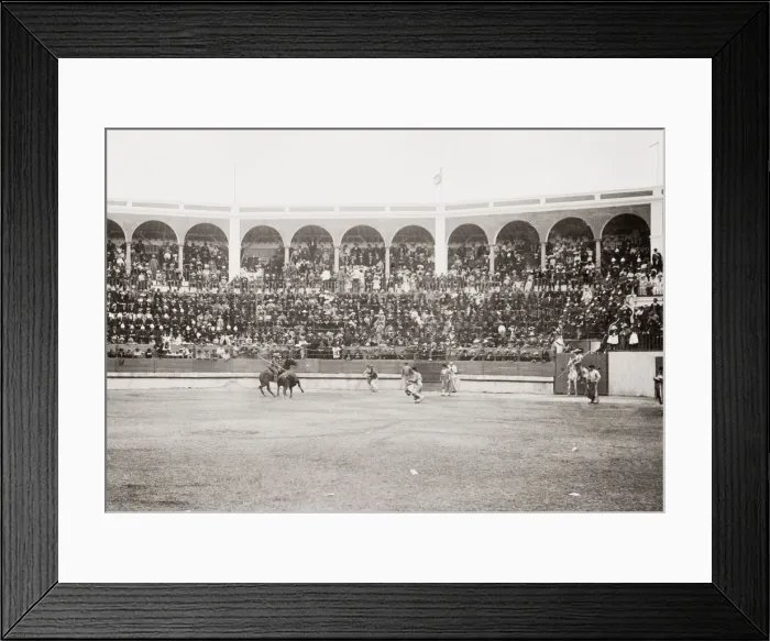 Framed Print : Bullfight, La Linea de la Concepcion, Adalucia, Spain, c. 1900 Framed Print : Bullfight, La Linea de la Concepcion, Adalucia, Spain, c. 1900