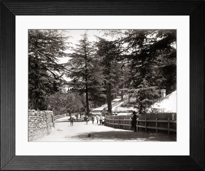 Framed Print : View of The Mall, Simla, Shimla, India, c. 1860 s Framed Print : View of The Mall, Simla, Shimla, India, c. 1860 s