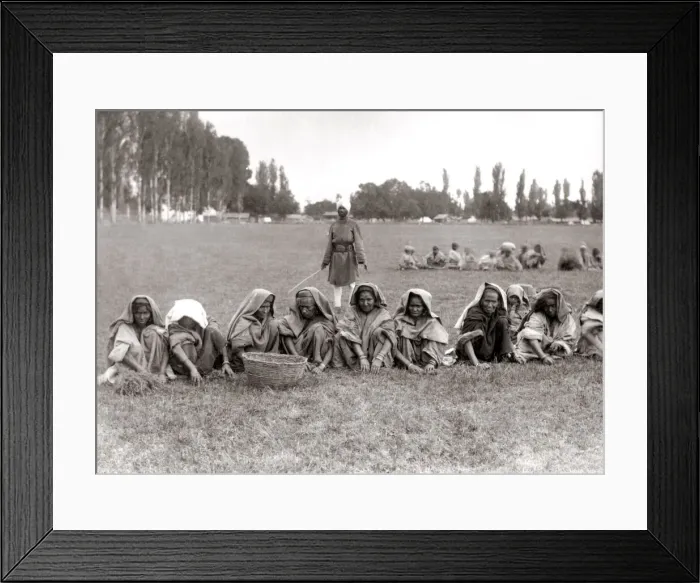 Framed Print : Wpomen labourers pulling weeds by hand, India Framed Print : Wpomen labourers pulling weeds by hand, India