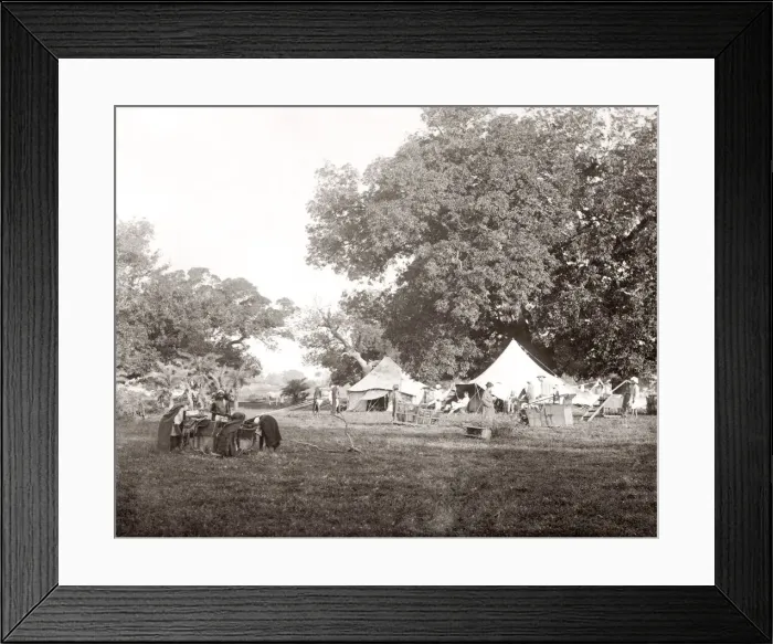 Framed Print : Big game hunting, tiger hunt in India - a series Framed Print : Big game hunting, tiger hunt in India - a series