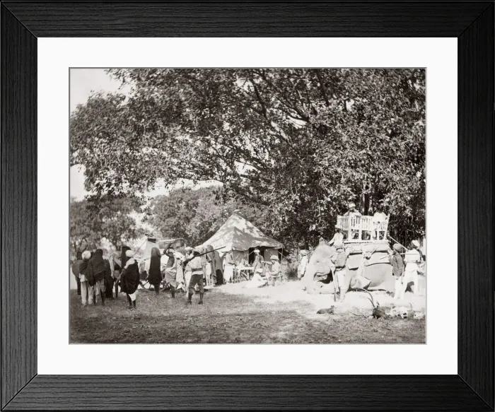 Framed Print : Big game hunting, tiger hunt in India - a series Framed Print : Big game hunting, tiger hunt in India - a series