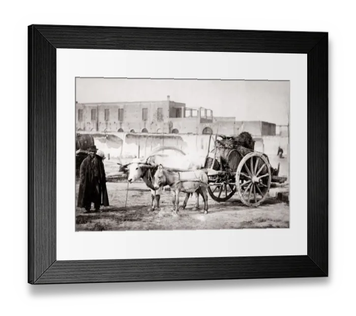 Framed Print : c. 1880s Italy - man with ox cart and wine barrels Framed Print : c. 1880s Italy - man with ox cart and wine barrels
