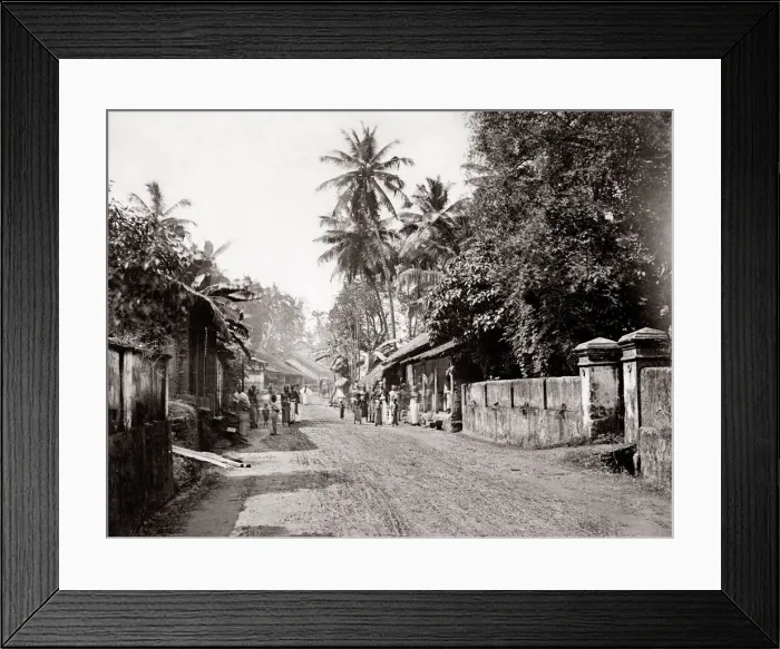 Framed Print : c. 1880s - Sri Lanka Ceylon - street scene Framed Print : c. 1880s - Sri Lanka Ceylon - street scene