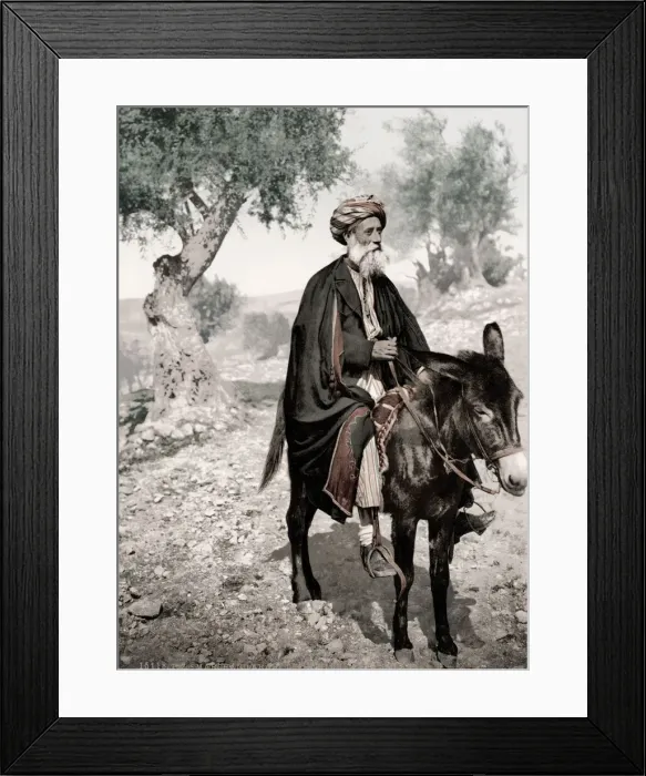 Framed Print : Israel Palestine - Arab merchant on a donkey Framed Print : Israel Palestine - Arab merchant on a donkey