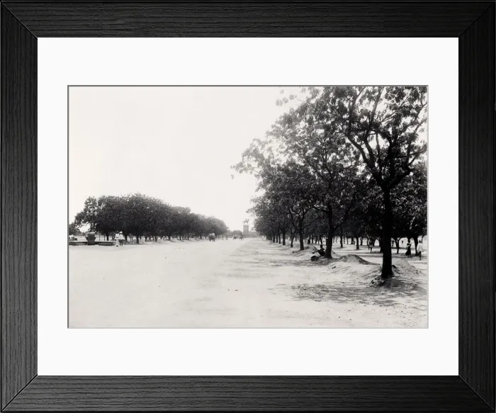 Framed Print : Wide avenue, Munro statue, Madras, Chennai, India Framed Print : Wide avenue, Munro statue, Madras, Chennai, India