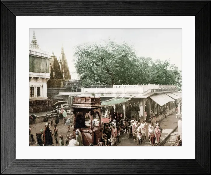 Framed Print : 1880s 1890s 1900s 19th Traveller album albumen Framed Print : 1880s 1890s 1900s 19th Traveller album albumen