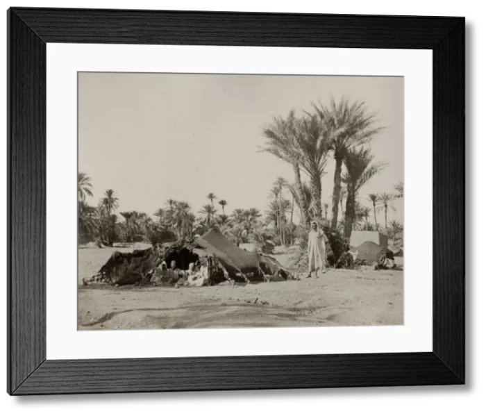 Framed Print : Bedouin camp, Biskra, Algeria Framed Print : Bedouin camp, Biskra, Algeria