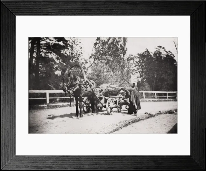 Framed Print : Russian country wagon, cart, and horse, Russia Framed Print : Russian country wagon, cart, and horse, Russia