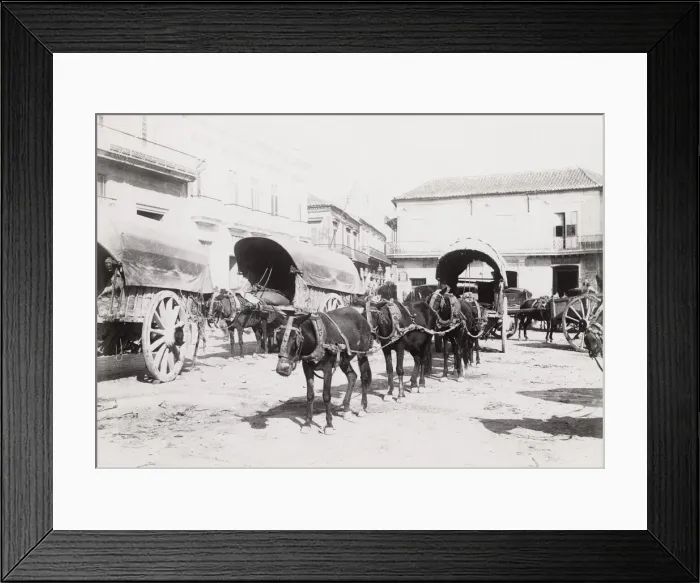 Framed Print : Cuba: horses and carts, Havana Framed Print : Cuba: horses and carts, Havana