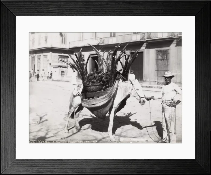 Framed Print : Cuba: fruit seller with his horse Framed Print : Cuba: fruit seller with his horse