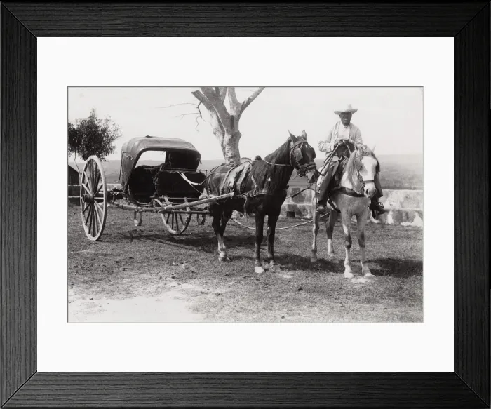 Framed Print : Cuba: volante, horse and carriage Framed Print : Cuba: volante, horse and carriage