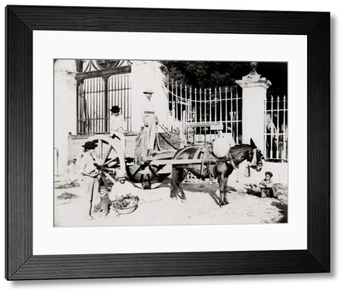 Framed Print : Cuba: mule cart and rvier Framed Print : Cuba: mule cart and rvier