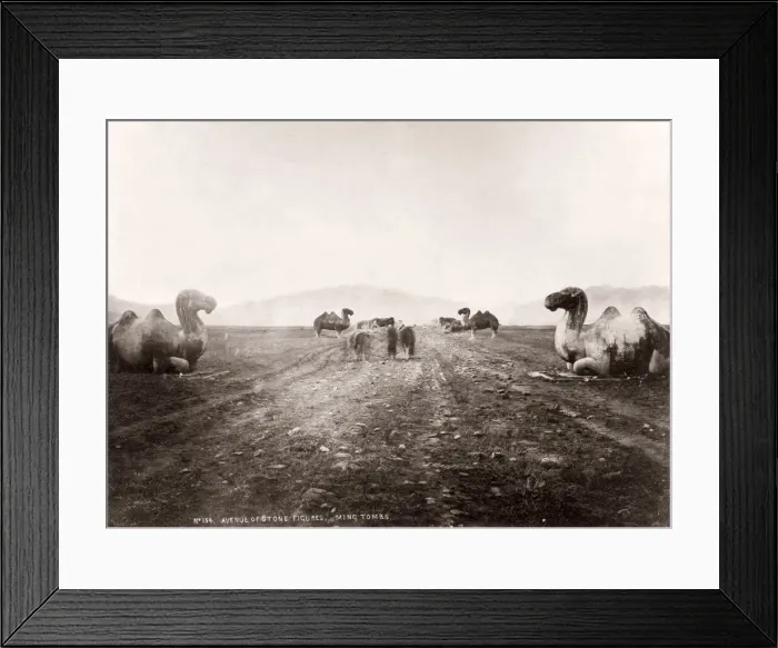 Framed Print : China c. 1880s - stone animals on the avenue to the Ming Tombs Framed Print : China c. 1880s - stone animals on the avenue to the Ming Tombs