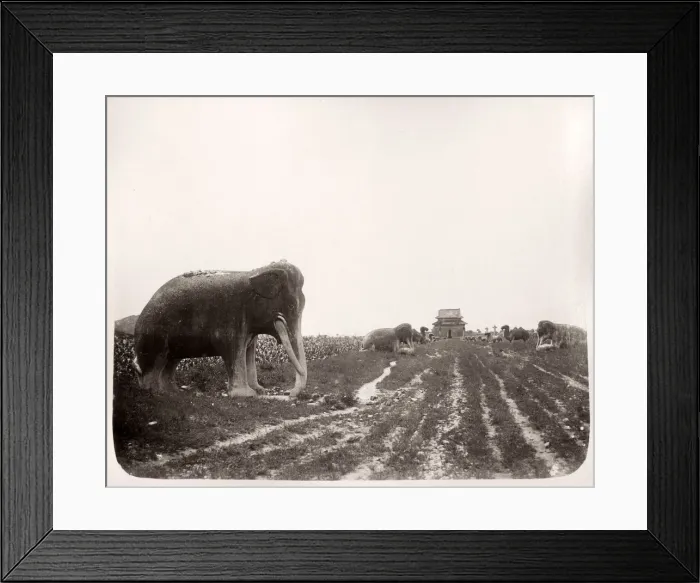 Framed Print : China c. 1880s - stone animals Ming Tombs Framed Print : China c. 1880s - stone animals Ming Tombs